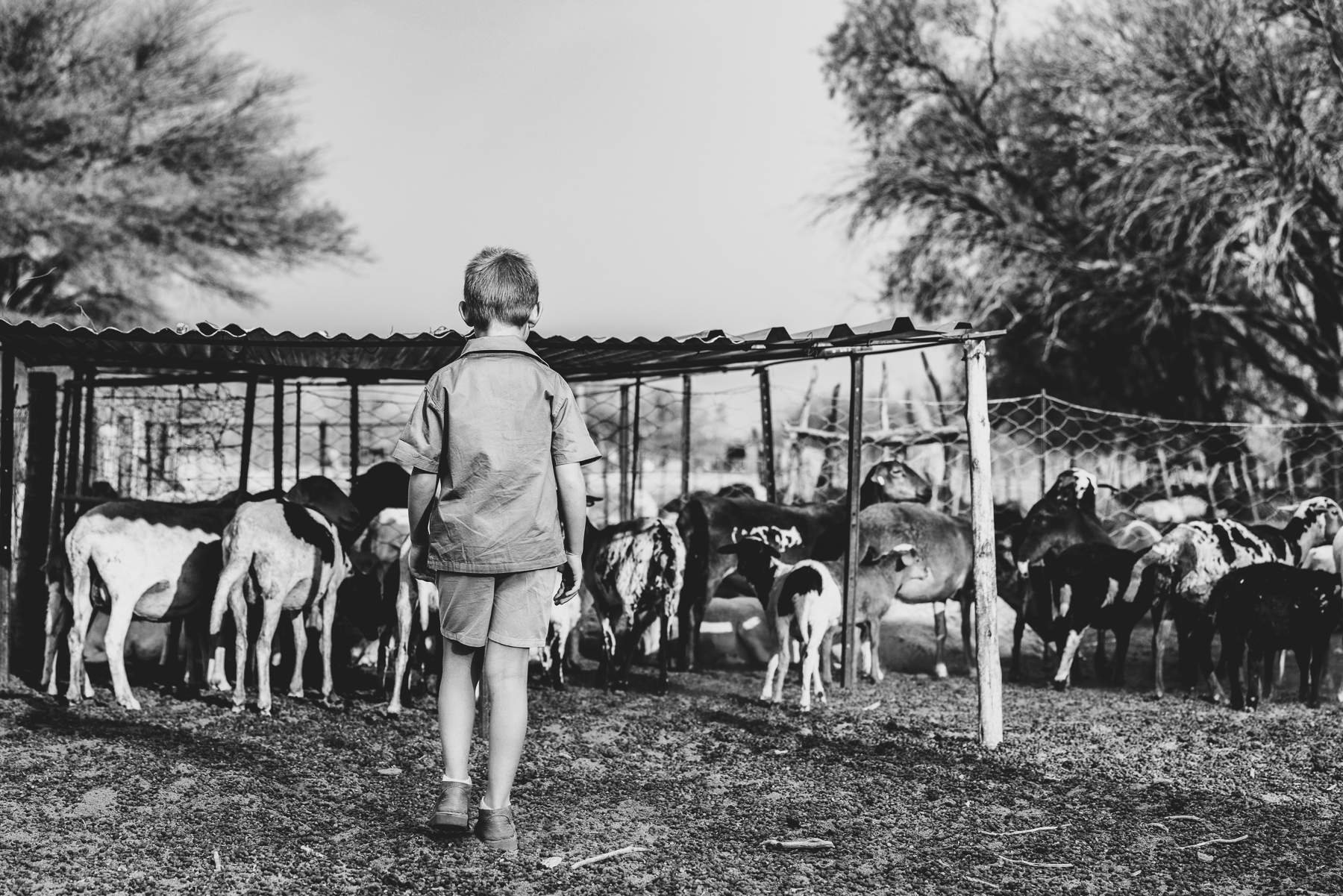 farm-photo-session_namibia_mariette-du-toit-photography