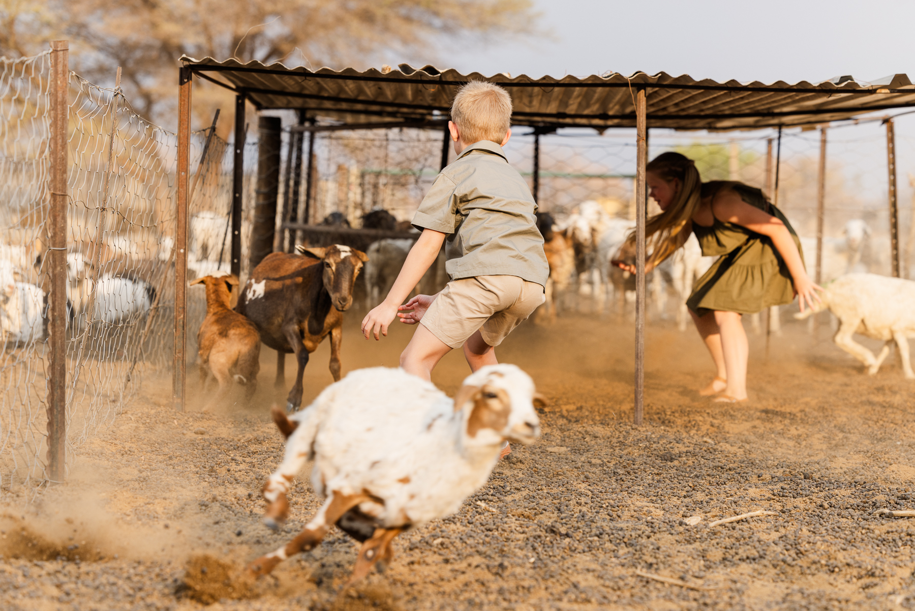 farm-photo-session_namibia_mariette-du-toit-photography