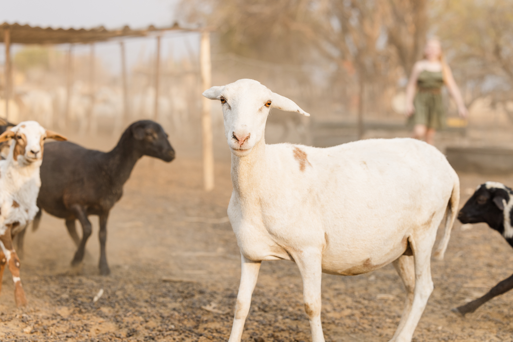 farm-photo-session_namibia_mariette-du-toit-photography