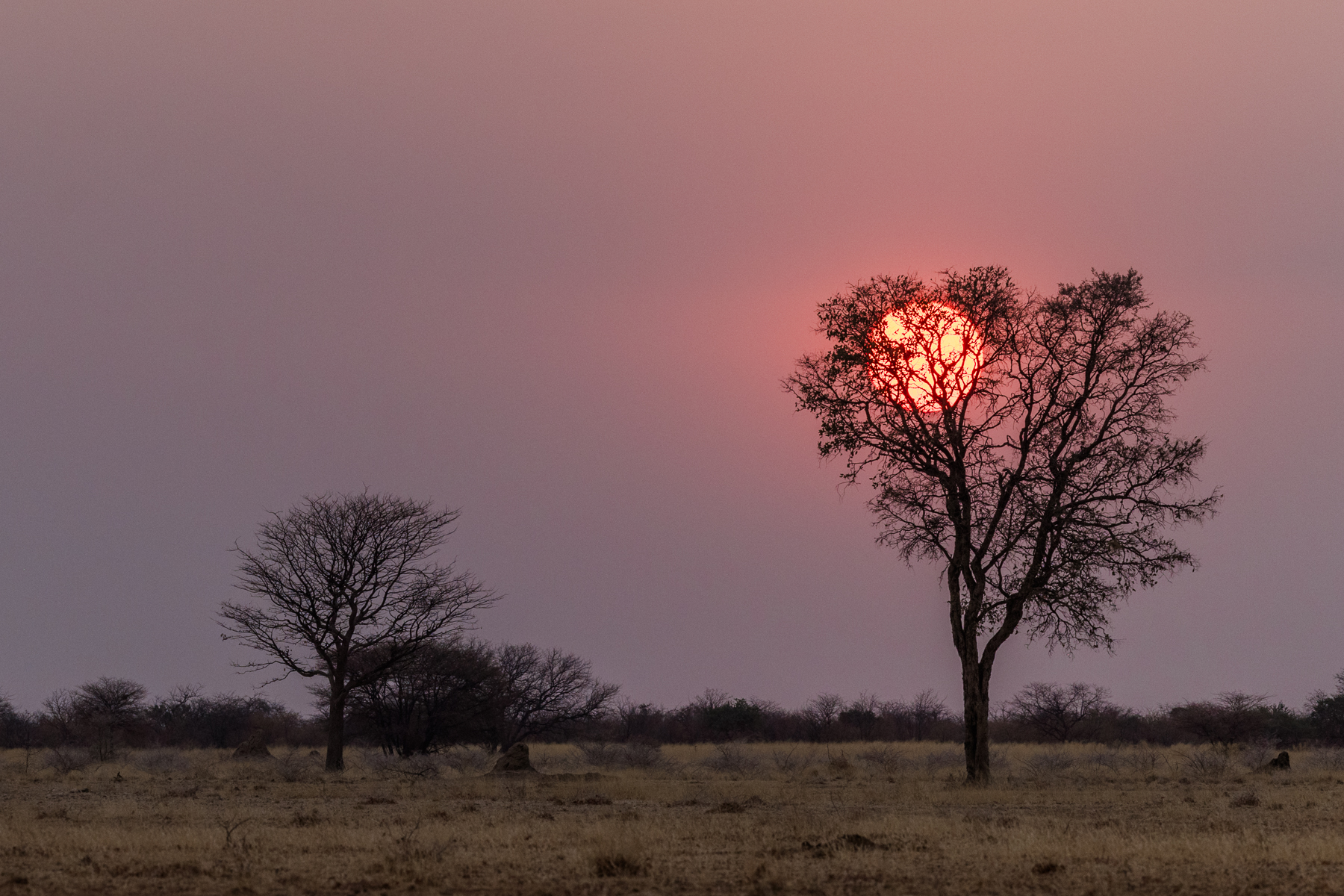 namibian-sunset-photo-session_mariette-du-toit-photography