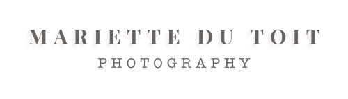 Mariette du Toit Photography Logo