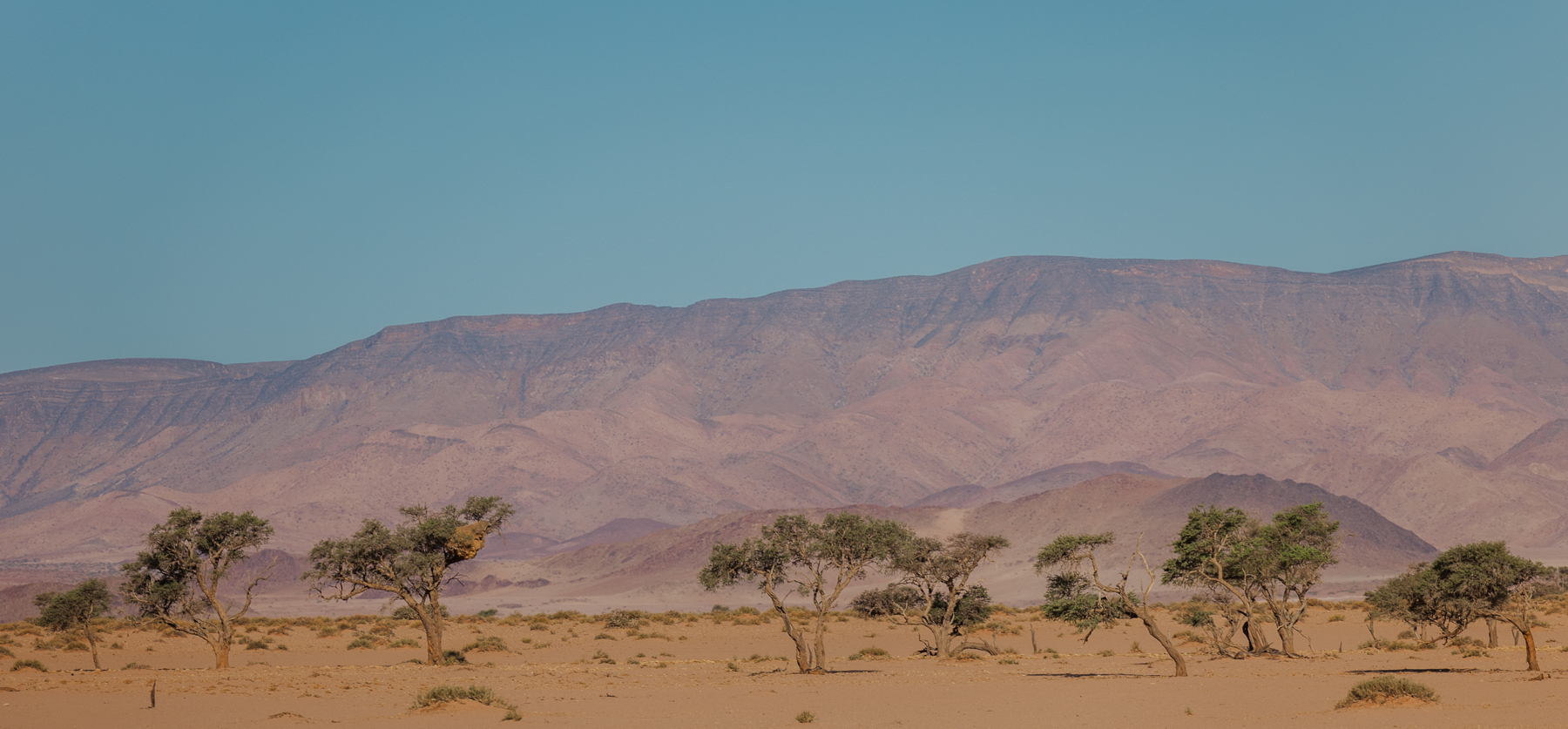 Namibia-safari-photography_Namibia-photographer_mariette-du-toit-photography