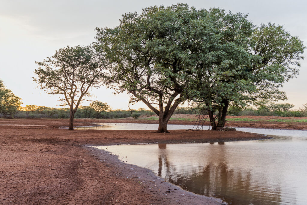 Namibian-family-photography_mariette-du-toit-photography