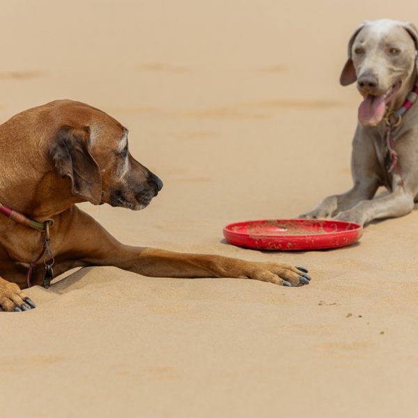 Casper-and-Carolyn_swakopmund-photographer_mariette-du-toit-photography